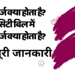 संडरी चार्ज क्या होता है? इलेक्ट्रिसिटी बिल में संडरी चार्ज क्या होता है?|What is a sundry Charge? What is the sundry Charge in an Electricity Bill?