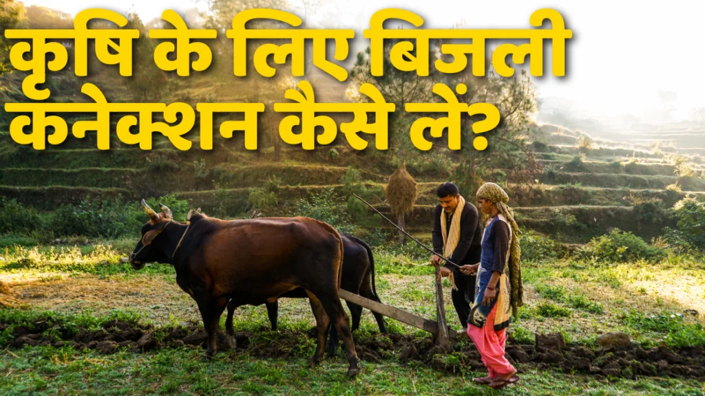 कृषि के लिए बिजली कनेक्शन कैसे लें? | How to get Electricity Connection for Agriculture?