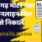 छत्तीसगढ़ मीटर नंबर से ऑनलाइन बिल कैसे निकाले | Chhattisgarh Meter Number