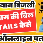 Rajasthan Bijali Bill Details Check Online